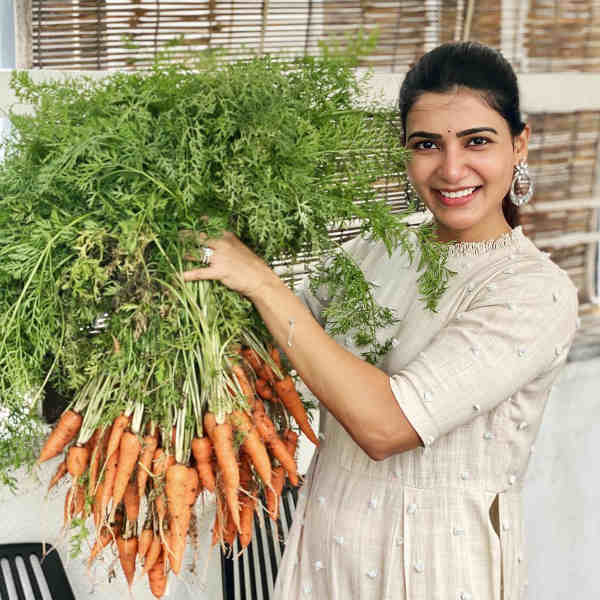 மாடி தோட்டம்