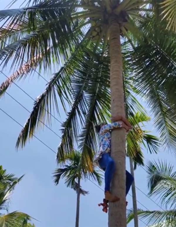 சிங்கப்பெண் நீங்கதான்