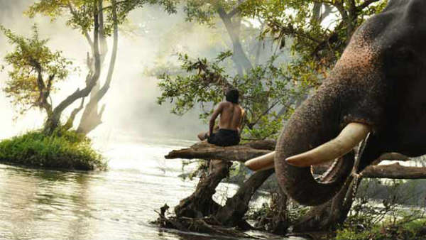 18 யானைகள்
