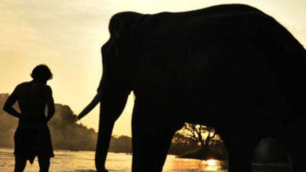 இயக்குனர் பிரபு சாலமன்