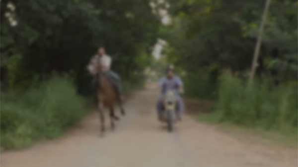 படப்பிடிப்புகள்