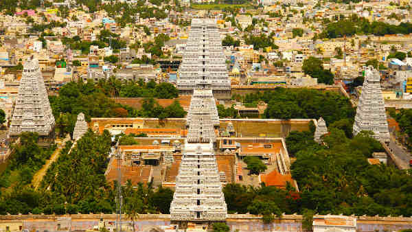 பத்தாம் நாள்