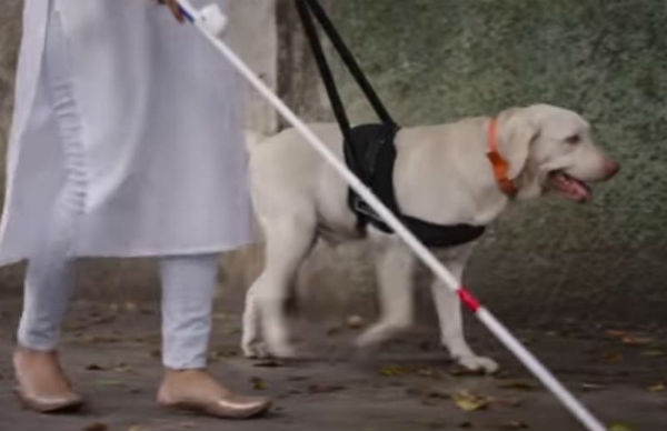 காத்து வாக்குல