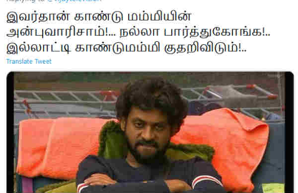 காண்டு மம்மியின் வாரிசு