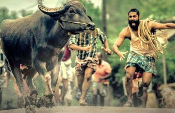 ஒளிப்பதிவு எக்ஸலன்ட்