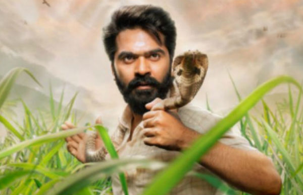 முன்னணி இயக்குனர்