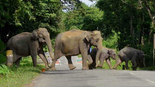 பலரும் கண்டனம்
