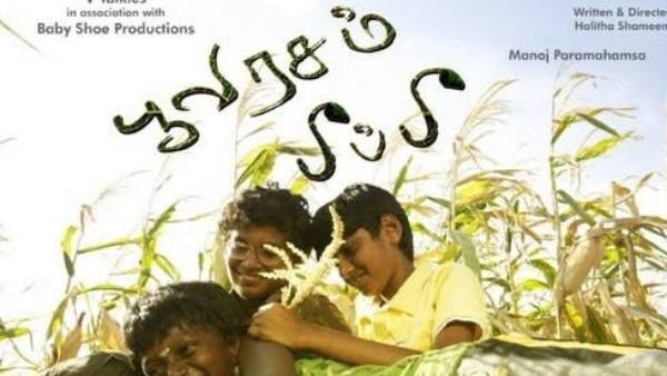 பூவரசம் பீப்பீ