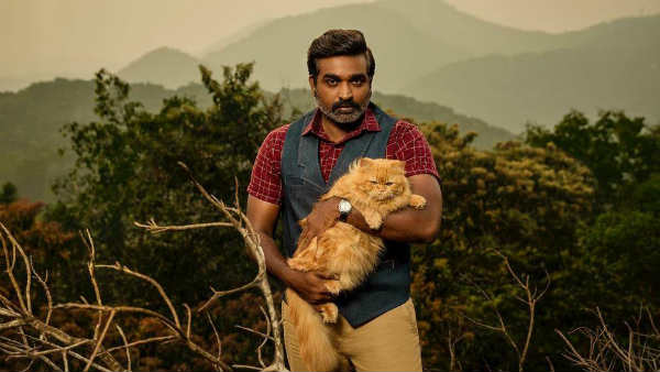 முரட்டு பூனையை அணைத்தவாறு