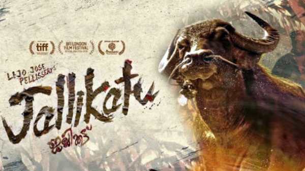 சிறந்த பாடகி பாடகர்