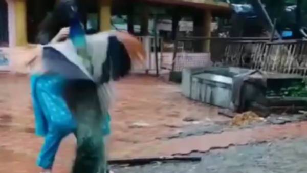 விரட்டி விரட்டி தாக்கிய மயில்
