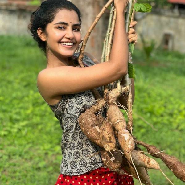 மாபெரும் வெற்றி