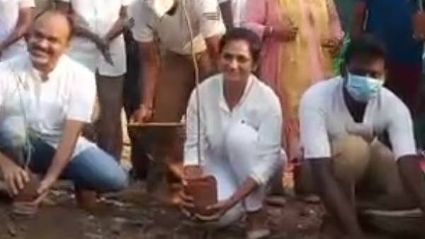மரக்கன்று நடும் விழா