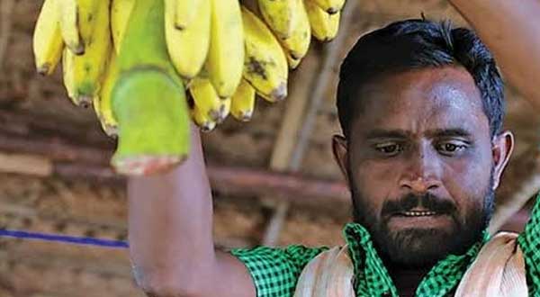 வாழைப்பழ காமெடி