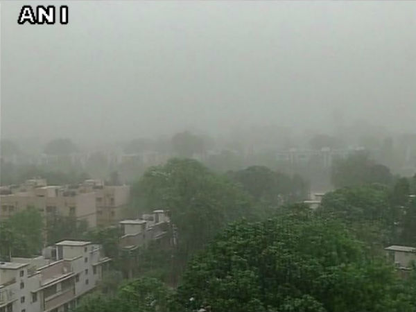 வேறோடு சாய்ந்த மரங்கள்