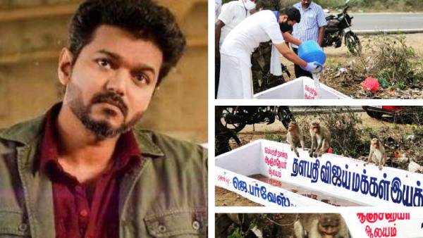 Vijay Makkal Iyakkam builds water tank for monkeys in Pudukkottai Vijay Makkal Iyakkam builds water tank for monkeys in Pudukkottai