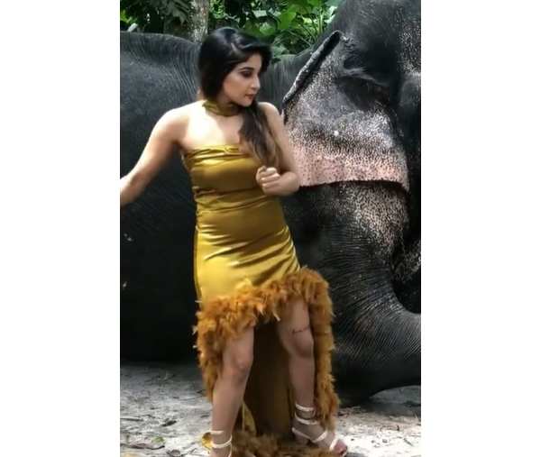 யானை மீது சாய்ந்து