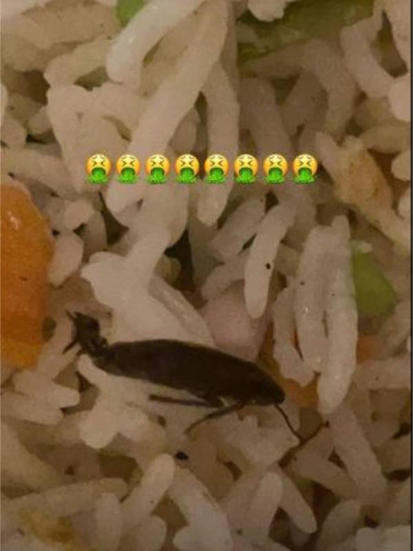 சாப்பாட்டில் கரப்பான் பூச்சி