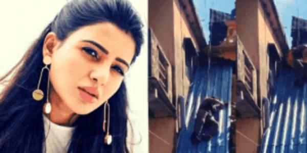 SAMANTHA JUMPING FROM A ROOF-TOP IS TURNING HEADS; CO-STAR SHARES A VIRAL STUNT VIDEO! SAMANTHA JUMPING FROM A ROOF-TOP IS TURNING HEADS; CO-STAR SHARES A VIRAL STUNT VIDEO!