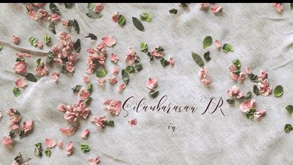 மெஹரிஜைல்லா சிங்கிள் பாடல்
