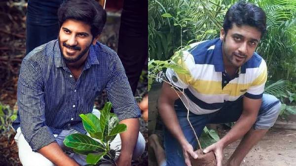 Cine Stars plantation on World Environment day Cine Stars plantation on World Environment day