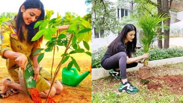 Cine Stars plantation on World Environment day Cine Stars plantation on World Environment day