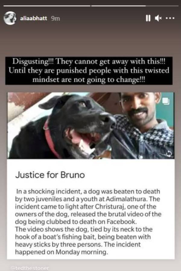 ஆலியா பட் ஆத்திரம்