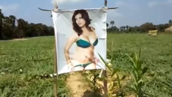 கவனத்தை ஈர்த்த பயிர்கள்