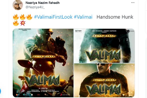 ஹேண்ட்சம் ஹன்க்