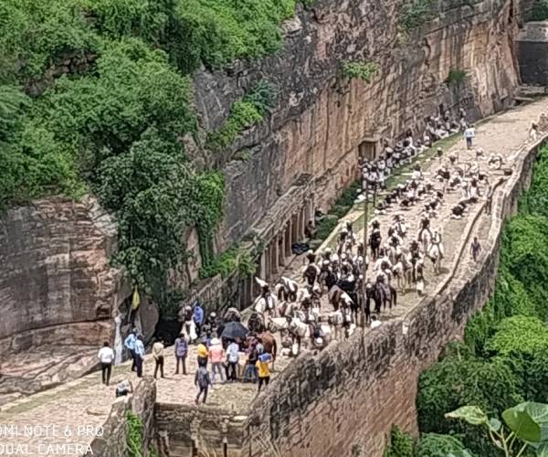 ராமோஜி ராவ் ஃபிலிம் சிட்டி