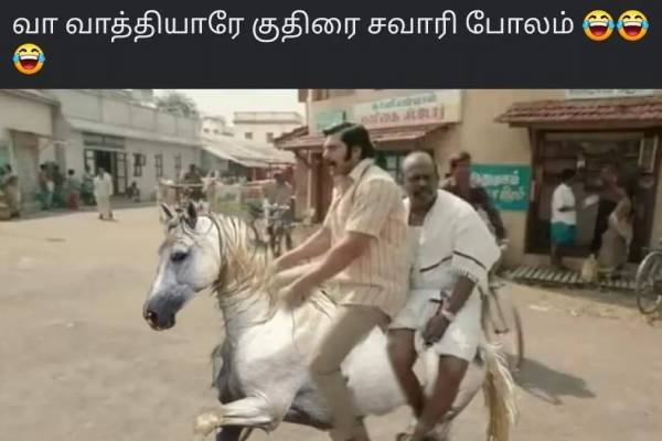 போலாமா குதிரை சவாரி
