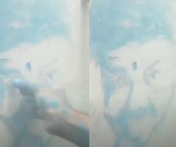 வெறித்தனமான அன்பு