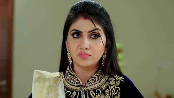 நந்தினி சீரியல்