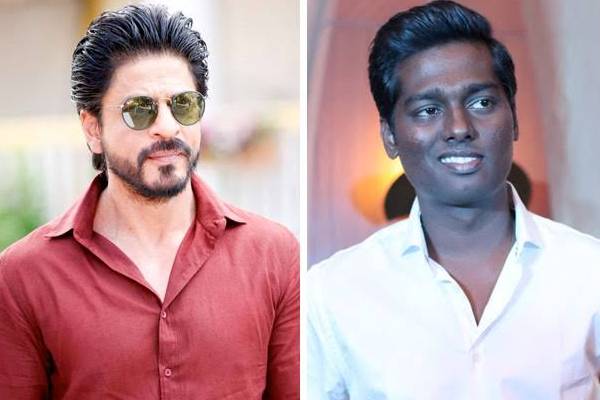 அட்லி ஷாருக்கான் கூட்டணி