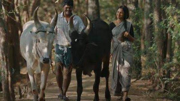 வெள்ளையன் கருப்பன்