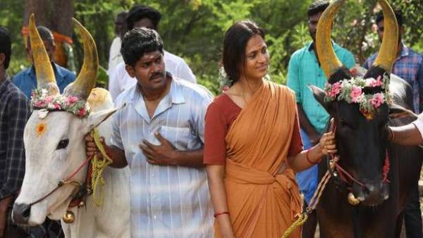 மாட்டை தொலைத்த தம்பதி