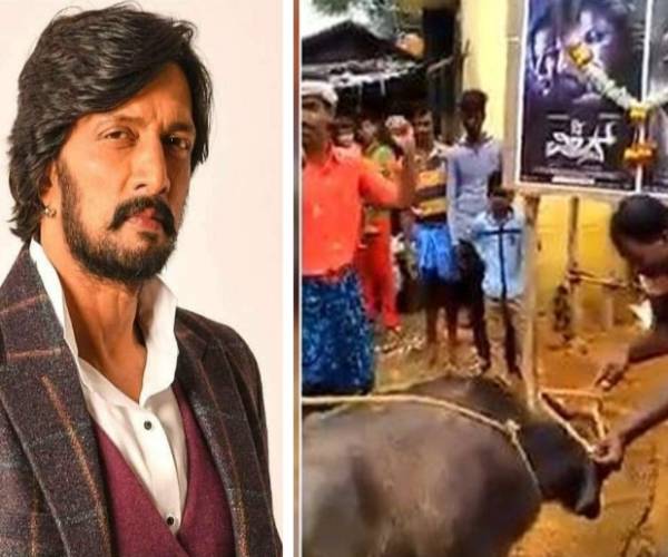 எருமை மாடு பலி கொடுத்த ரசிகர்கள்