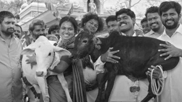 குழந்தைகள் போல செல்லமாக