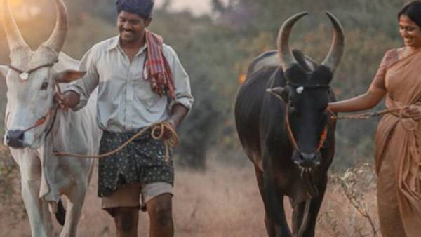 சர்ச்சையான கருத்துக்களை
