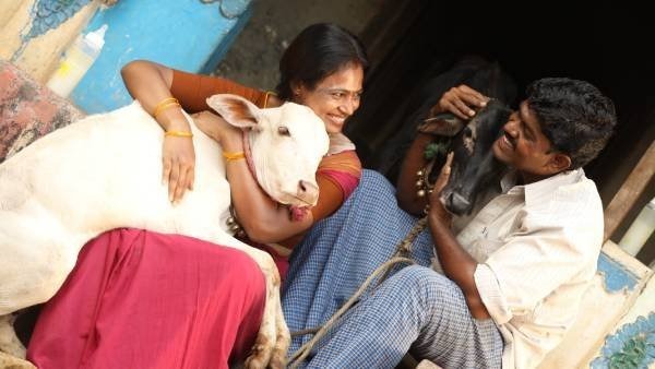 செப்டம்பர் 24ஆம் தேதி