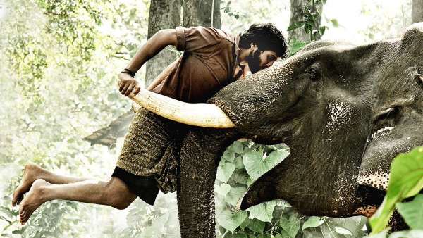 பிரபு சாலமன்