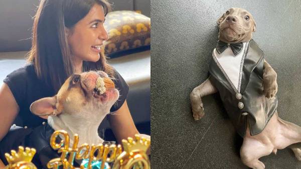 விவாகரத்தை மறக்க.. சமந்தா வீட்டில் நடந்த கொண்டாட்டம்… வைரலாகும் போட்டோஸ் !