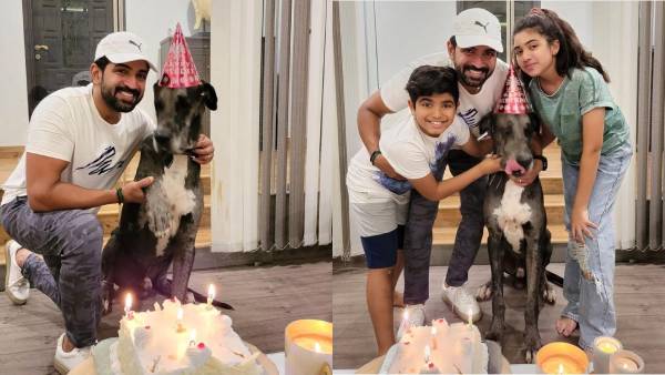 கேக் வெட்டி கொண்டாட்டம்... அருண் விஜய் பேமிலி கொண்டாடிய நாய் பிறந்தநாள் 