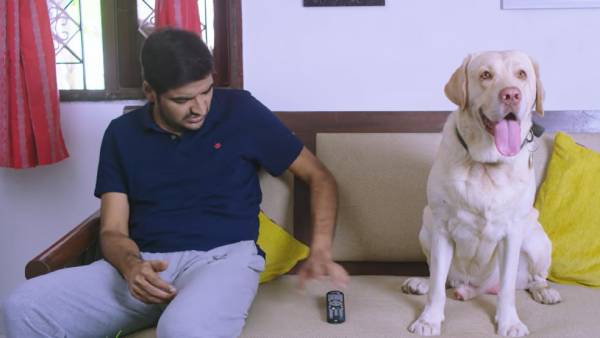 நாயா... சேகரா... மல்லுக்கட்டும் சதீஷ்... புத்தாண்டு துவக்கத்தில் டீசர் வெளியீடு! 