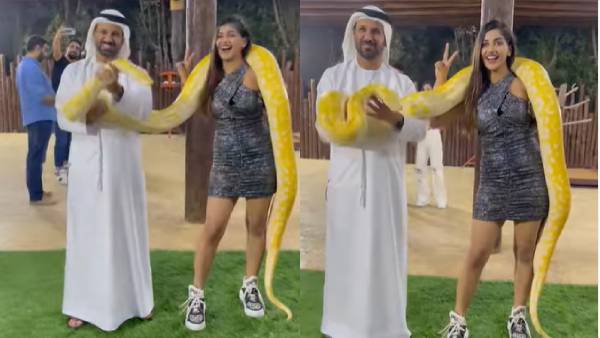 மலைப்பாம்பை கழுத்தில் போட்டு ஜாலியாக போஸ் கொடுத்த யாஷிகா...பதறும் ரசிகர்கள் 