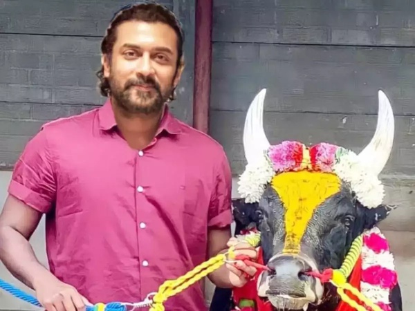 வாடிவாசல் வேலைகளும்
