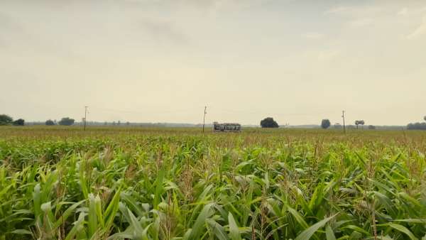 லிஜோ ஜோஸ் இயக்கம்