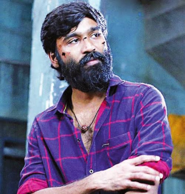 ராஜனாக அமீர்