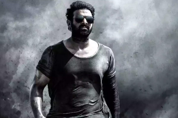 வன்முறை தூக்கலான படம்