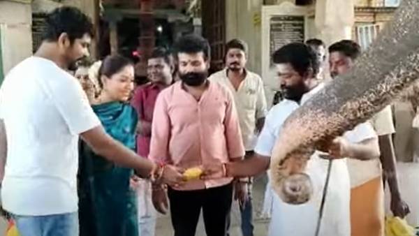 யானையை பார்த்து பயந்த நயன்தாரா.. தயங்கிய விக்னேஷ் சிவன்.. கடைசியில் செம காமெடி!